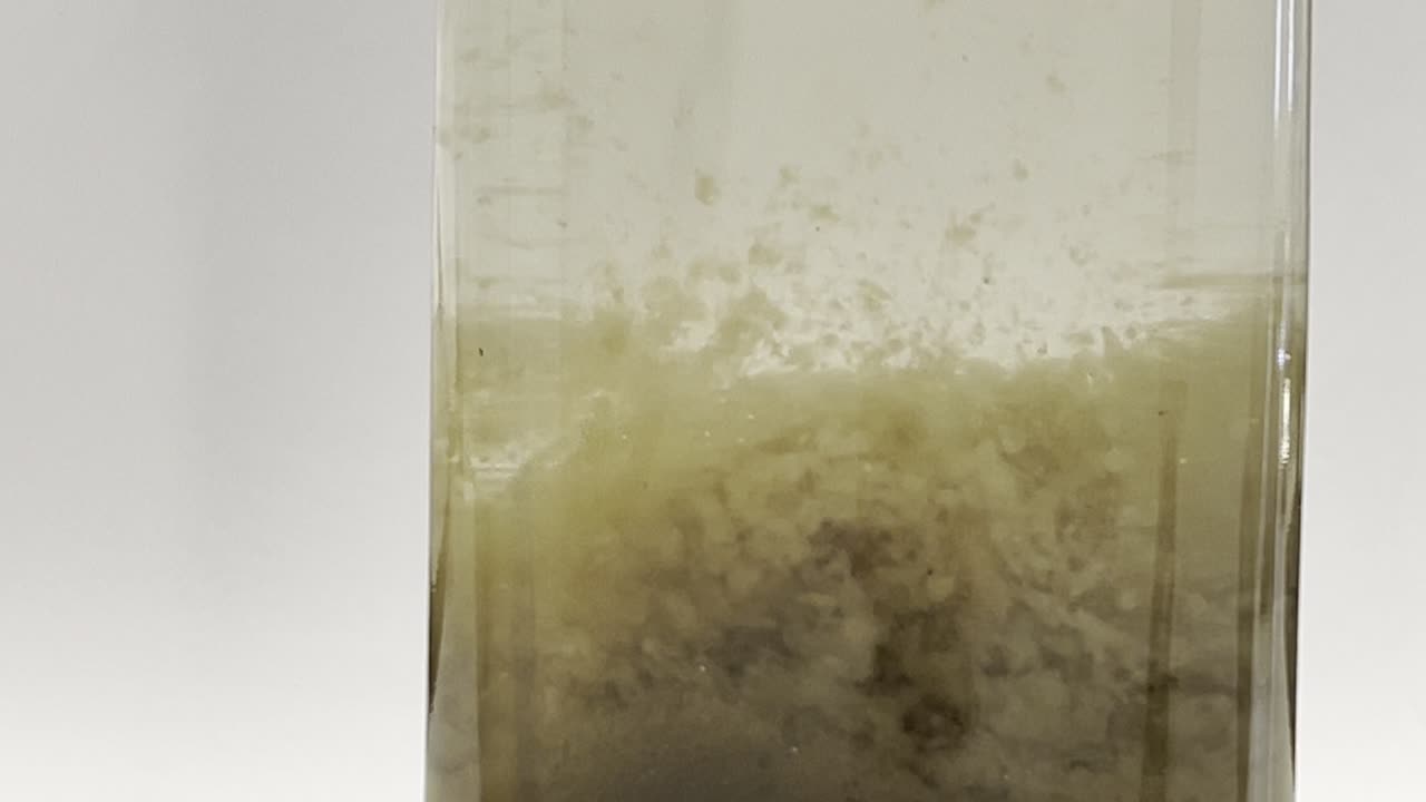 Labeled wastewater process samples in beakers and bottles, ranging from clear to dark and turbid
